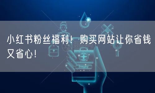 小红书粉丝福利！购买网站让你省钱又省心！