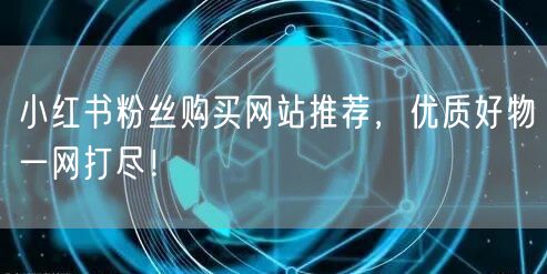 小红书粉丝购买网站推荐，优质好物一网打尽！
