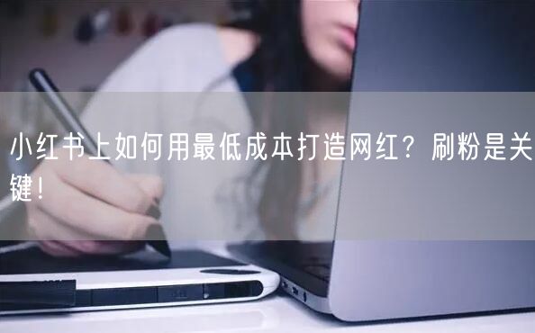 小红书上如何用最低成本打造网红？刷粉是关键！