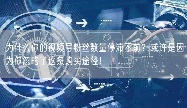 为什么你的视频号粉丝数量停滞不前？或许是因为你忽略了这条购买途径！