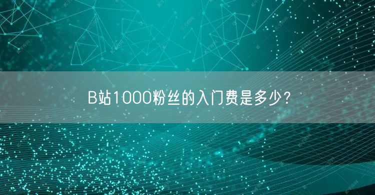 B站1000粉丝的入门费是多少？