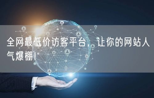 全网最低价访客平台，让你的网站人气爆棚！