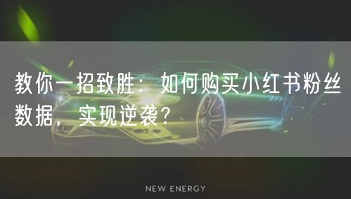 教你一招致胜：如何购买小红书粉丝数据，实现逆袭？