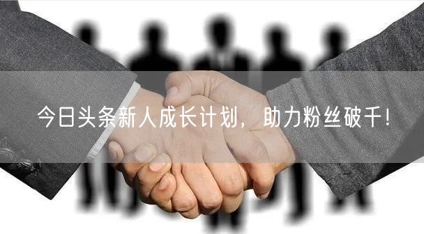 今日头条新人成长计划，助力粉丝破千！