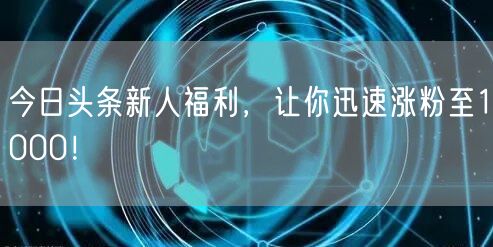 今日头条新人福利，让你迅速涨粉至1000！