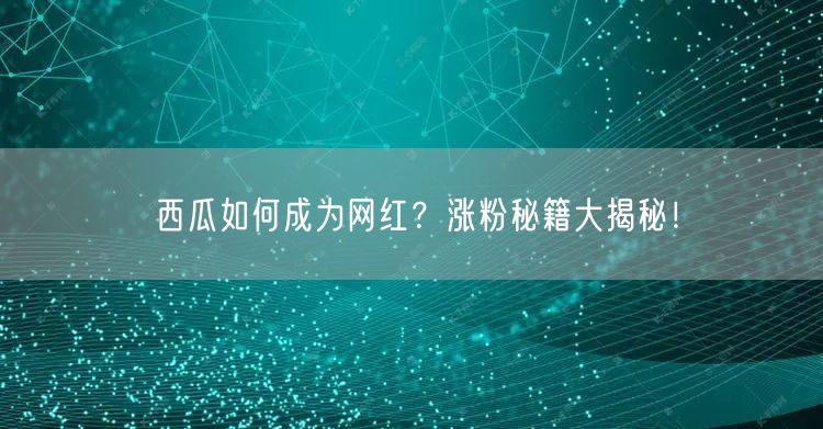 西瓜如何成为网红？涨粉秘籍大揭秘！