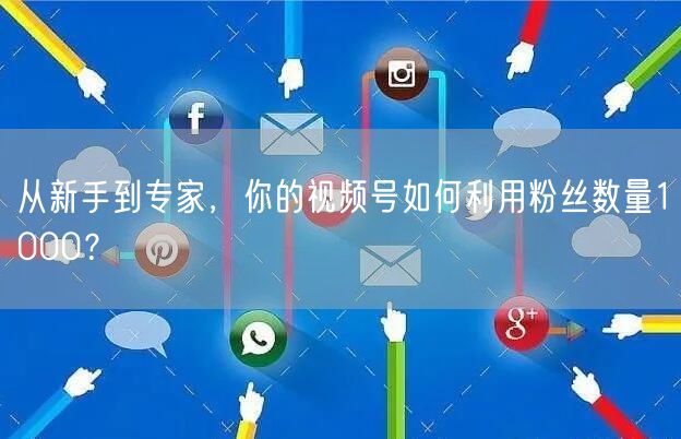 从新手到专家，你的视频号如何利用粉丝数量1000？