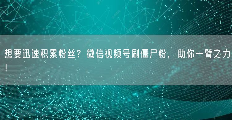 想要迅速积累粉丝？微信视频号刷僵尸粉，助你一臂之力！