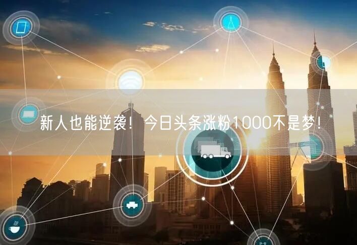 新人也能逆袭！今日头条涨粉1000不是梦！