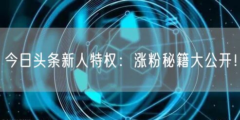 今日头条新人特权：涨粉秘籍大公开！