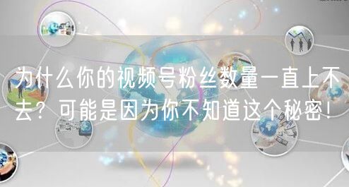 为什么你的视频号粉丝数量一直上不去？可能是因为你不知道这个秘密！