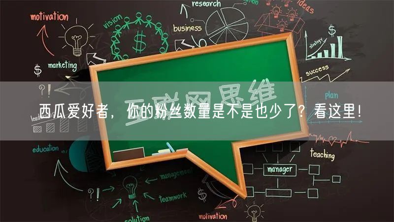 西瓜爱好者，你的粉丝数量是不是也少了？看这里！