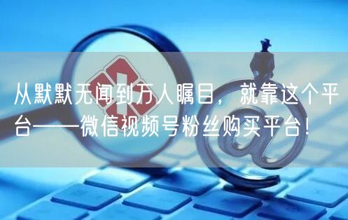 从默默无闻到万人瞩目，就靠这个平台——微信视频号粉丝购买平台！