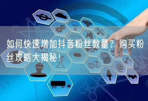 如何快速增加抖音粉丝数量？购买粉丝攻略大揭秘！