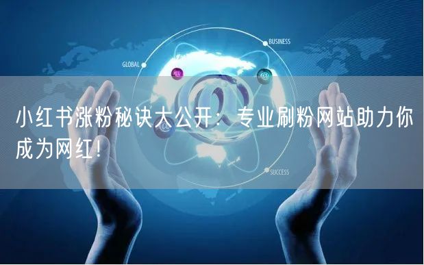 小红书涨粉秘诀大公开：专业刷粉网站助力你成为网红！