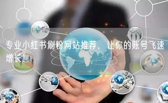 专业小红书刷粉网站推荐，让你的账号飞速增长！