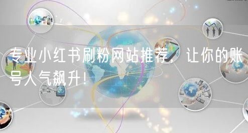 专业小红书刷粉网站推荐，让你的账号人气飙升！