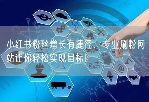 小红书粉丝增长有捷径，专业刷粉网站让你轻松实现目标！