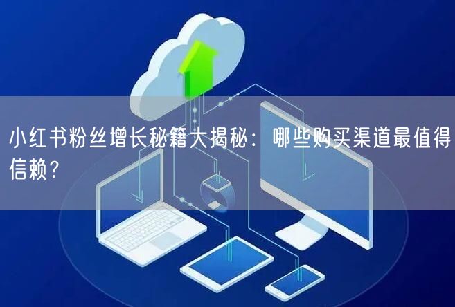 小红书粉丝增长秘籍大揭秘：哪些购买渠道最值得信赖？