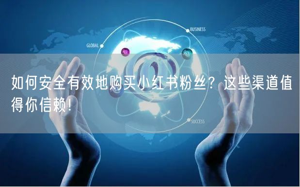 如何安全有效地购买小红书粉丝？这些渠道值得你信赖！