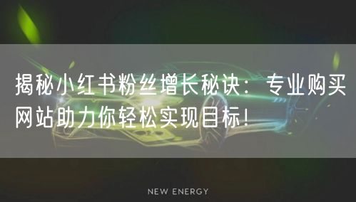 揭秘小红书粉丝增长秘诀：专业购买网站助力你轻松实现目标！
