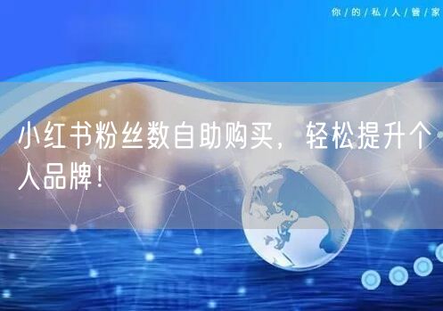 小红书粉丝数自助购买，轻松提升个人品牌！