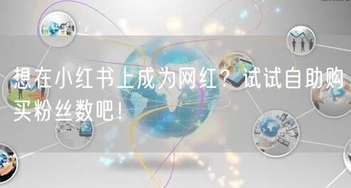 想在小红书上成为网红？试试自助购买粉丝数吧！