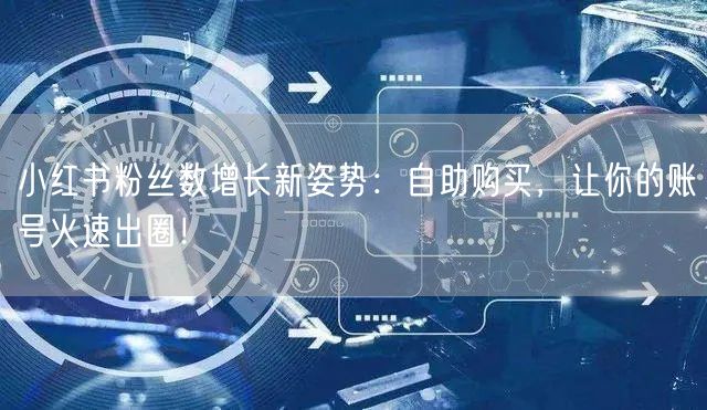 小红书粉丝数增长新姿势：自助购买，让你的账号火速出圈！