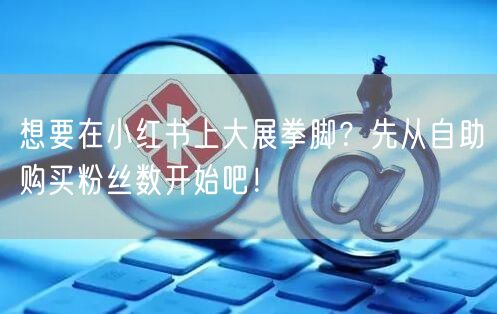 想要在小红书上大展拳脚？先从自助购买粉丝数开始吧！