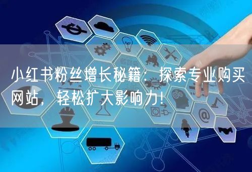 小红书粉丝增长秘籍：探索专业购买网站，轻松扩大影响力！