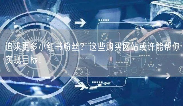 追求更多小红书粉丝？这些购买网站或许能帮你实现目标！