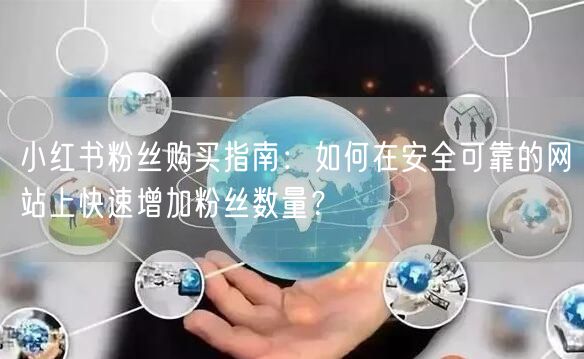 小红书粉丝购买指南：如何在安全可靠的网站上快速增加粉丝数量？