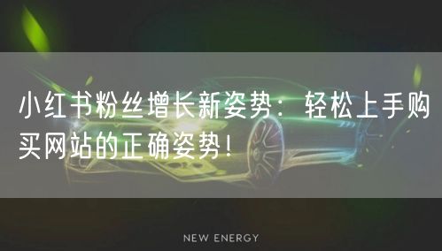 小红书粉丝增长新姿势：轻松上手购买网站的正确姿势！