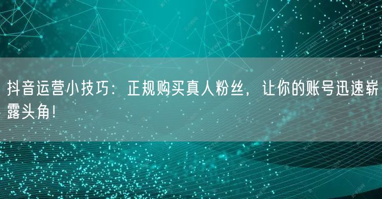 抖音运营小技巧：正规购买真人粉丝，让你的账号迅速崭露头角！