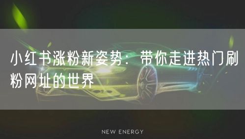 小红书涨粉新姿势：带你走进热门刷粉网址的世界