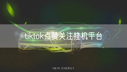tiktok点赞关注挂机平台