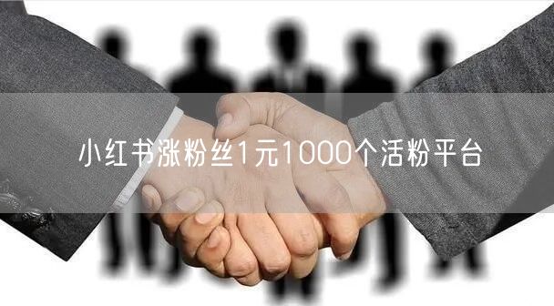 小红书涨粉丝1元1000个活粉平台