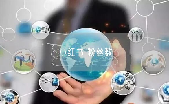 小红书 粉丝数