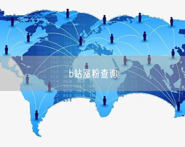 b站涨粉查询