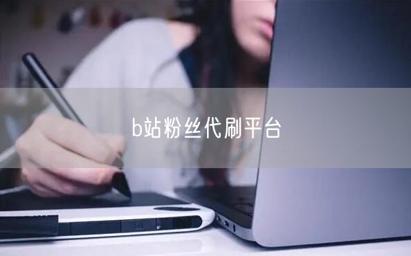 b站粉丝代刷平台