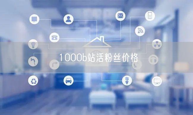 1000b站活粉丝价格
