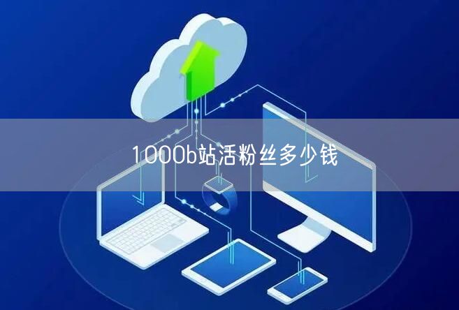 1000b站活粉丝多少钱