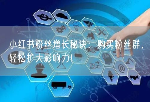 小红书粉丝增长秘诀：购买粉丝群，轻松扩大影响力！