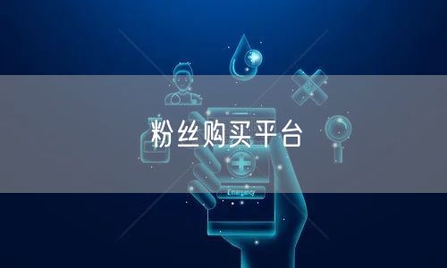 粉丝购买平台