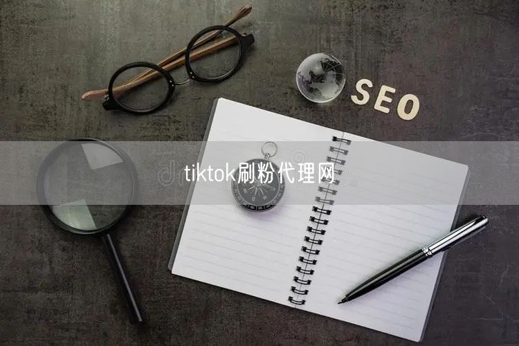 tiktok刷粉代理网