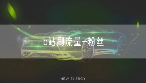 b站刷流量-粉丝