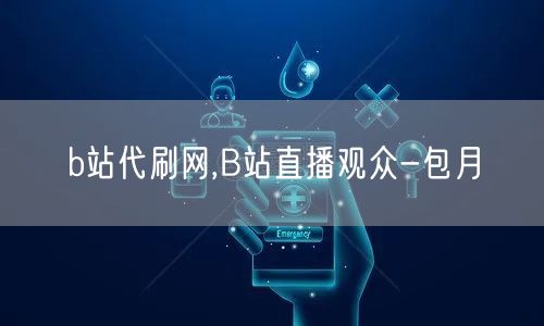 b站代刷网,B站直播观众-包月