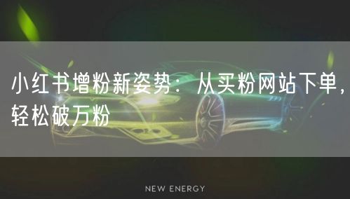 小红书增粉新姿势：从买粉网站下单，轻松破万粉