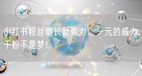 小红书粉丝增长新势力：一元的威力，千粉不是梦！