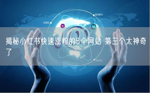揭秘小红书快速涨粉的5个网站 第三个太神奇了